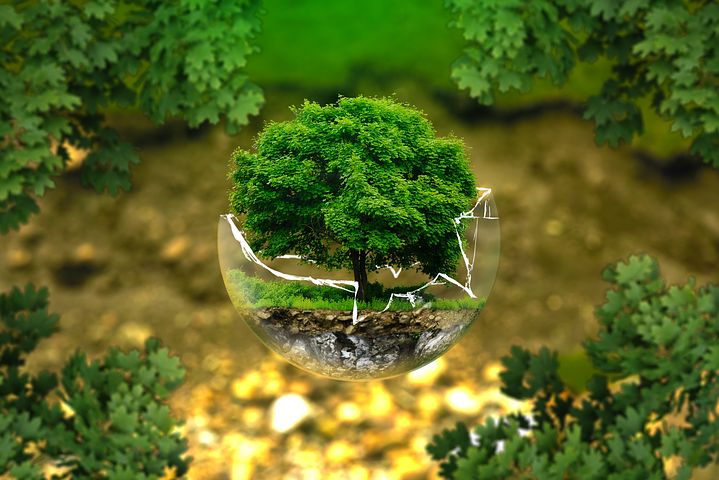 Des ressources pour enseigner le développement durable via les maths